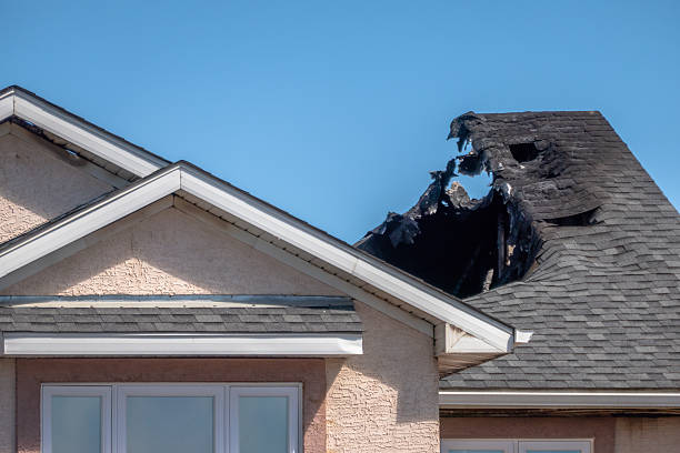 Top rated local Odor Removal specialists in Brookeville, MD
